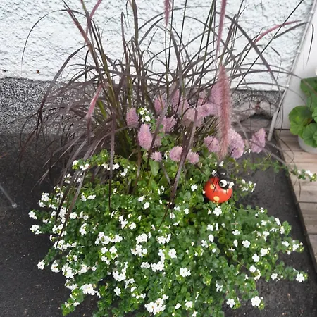 Ristimaeenkatu 13 * Savonlinna