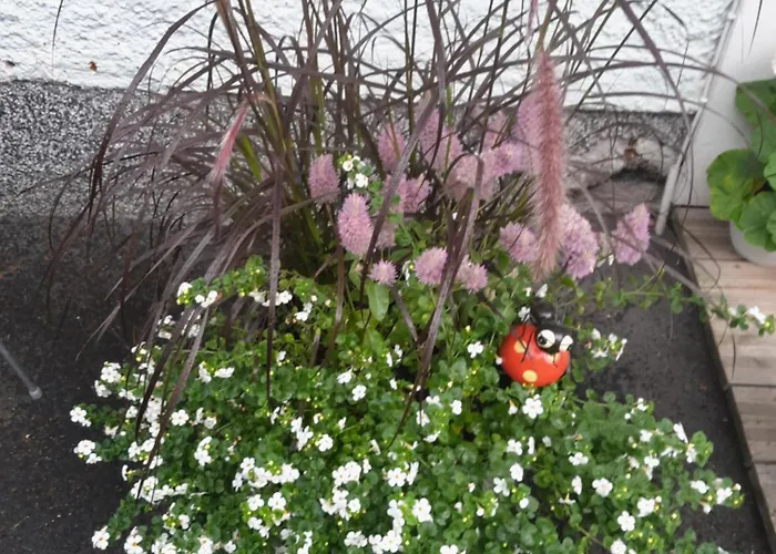 Ristimaeenkatu 13 * Nyslott